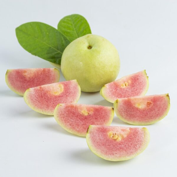 Guava